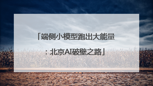 端侧小模型跑出大能量：北京AI破壁之路
