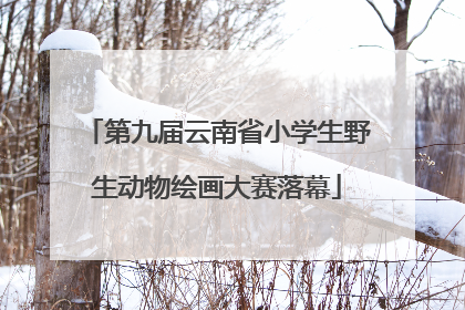 第九届云南省小学生野生动物绘画大赛落幕