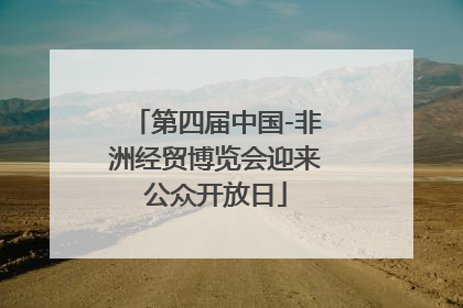 第四届中国-非洲经贸博览会迎来公众开放日