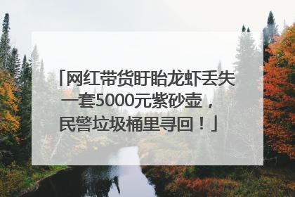 网红带货盱眙龙虾丢失一套5000元紫砂壶，民警垃圾桶里寻回！