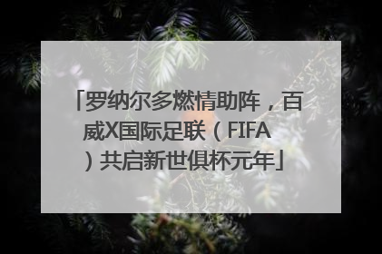 罗纳尔多燃情助阵，百威X国际足联（FIFA）共启新世俱杯元年