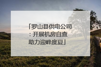 罗山县供电公司：开展机房自查 助力迎峰度夏