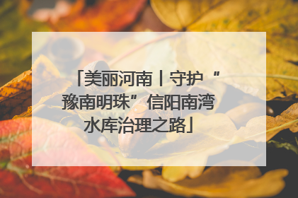 美丽河南丨守护“豫南明珠”信阳南湾水库治理之路