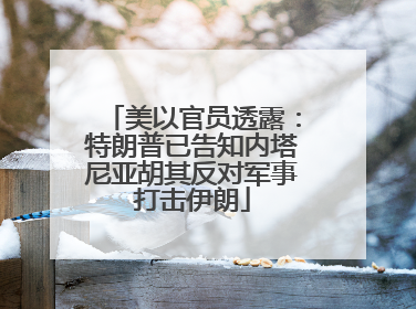 美以官员透露：特朗普已告知内塔尼亚胡其反对军事打击伊朗