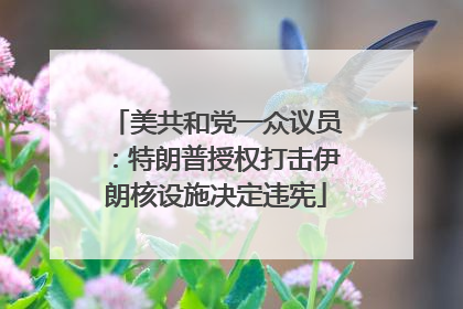 美共和党一众议员：特朗普授权打击伊朗核设施决定违宪