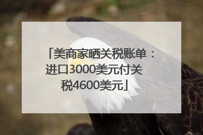 美商家晒关税账单：进口3000美元付关税4600美元