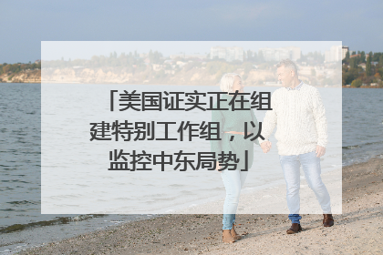 美国证实正在组建特别工作组，以监控中东局势