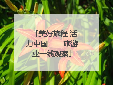 美好旅程 活力中国——旅游业一线观察
