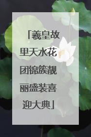 羲皇故里天水花团锦簇靓丽盛装喜迎大典