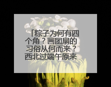 粽子为何有四个角？画团扇的习俗从何而来？西北过端午原来有这么多讲究