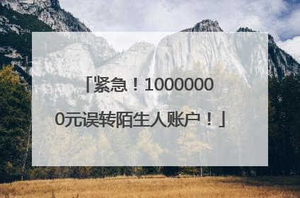 紧急！10000000元误转陌生人账户！