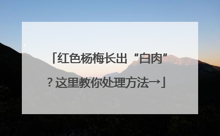红色杨梅长出“白肉”？这里教你处理方法→