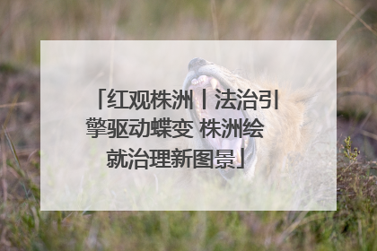 红观株洲丨法治引擎驱动蝶变 株洲绘就治理新图景