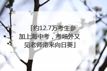 约12.7万考生参加上海中考，考场外又见老师带来向日葵