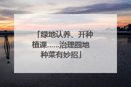 绿地认养、开种植课……治理圈地种菜有妙招