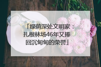 绿荫深处文明家：扎根林场46年又捧回沉甸甸的荣誉