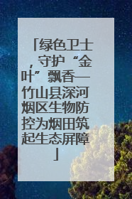 绿色卫士，守护“金叶”飘香—竹山县深河烟区生物防控为烟田筑起生态屏障