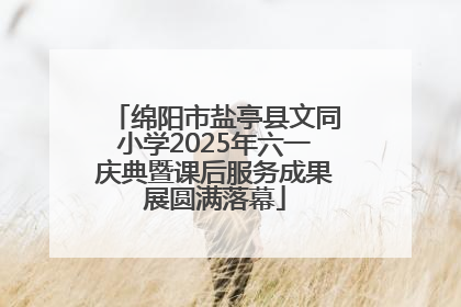 绵阳市盐亭县文同小学2025年六一庆典暨课后服务成果展圆满落幕