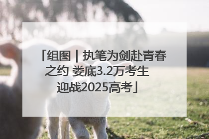组图｜执笔为剑赴青春之约 娄底3.2万考生迎战2025高考