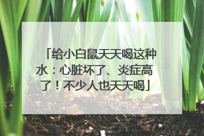 给小白鼠天天喝这种水：心脏坏了、炎症高了！不少人也天天喝
