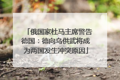 俄国家杜马主席警告德国：德向乌供武将成为两国发生冲突原因