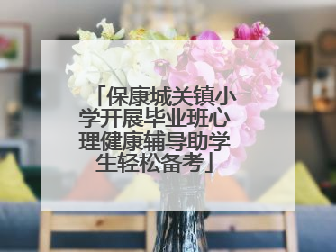 保康城关镇小学开展毕业班心理健康辅导助学生轻松备考