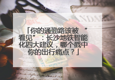 你的通勤路该被 “看见”：长沙地铁智能化四大建议，哪个戳中你的出行痛点？