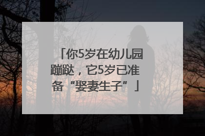 你5岁在幼儿园蹦跶，它5岁已准备“娶妻生子”