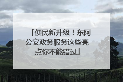 便民新升级！东阿公安政务服务这些亮点你不能错过