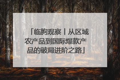 临朐观察丨从区域农产品到国际爆款产品的破局进阶之路