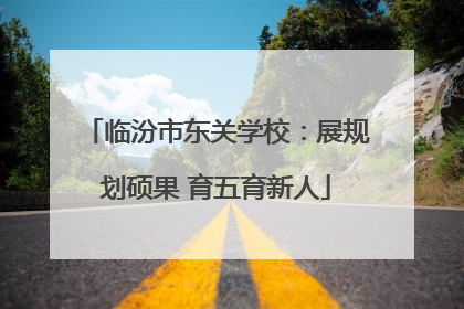 临汾市东关学校：展规划硕果 育五育新人