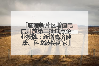临港新片区增值电信开放第二批试点企业授牌：新增高济健康、科戈波特两家