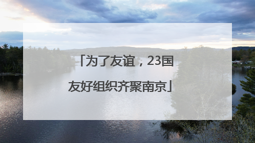 为了友谊，23国友好组织齐聚南京