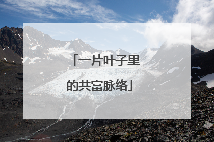 一片叶子里的共富脉络