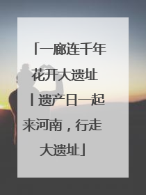 一廊连千年 花开大遗址丨遗产日一起来河南，行走大遗址
