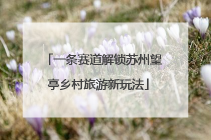 一条赛道解锁苏州望亭乡村旅游新玩法