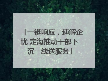 一链响应，速解企忧 定海推动干部下沉一线送服务