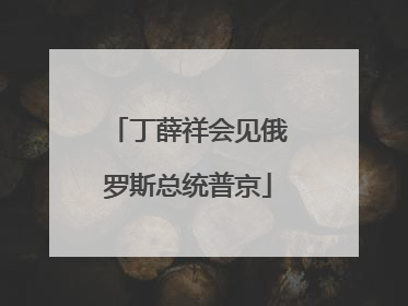丁薛祥会见俄罗斯总统普京