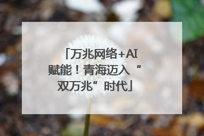 万兆网络+AI赋能！青海迈入“双万兆”时代