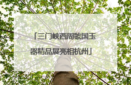 三门峡西周虢国玉器精品展亮相杭州