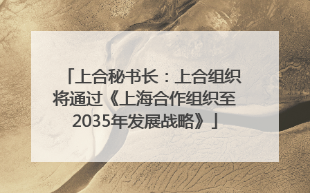 上合秘书长：上合组织将通过《上海合作组织至2035年发展战略》