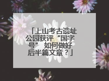 上山考古遗址公园获评“国字号” 如何做好后半篇文章？