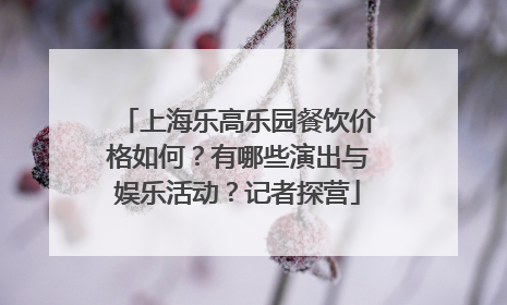 上海乐高乐园餐饮价格如何？有哪些演出与娱乐活动？记者探营