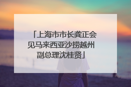 上海市市长龚正会见马来西亚沙捞越州副总理沈桂贤