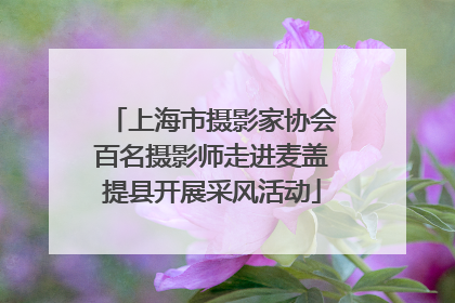 上海市摄影家协会百名摄影师走进麦盖提县开展采风活动