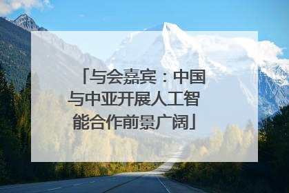 与会嘉宾：中国与中亚开展人工智能合作前景广阔