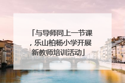 与导师同上一节课，乐山柏杨小学开展新教师培训活动