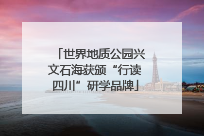 世界地质公园兴文石海获颁“行读四川”研学品牌
