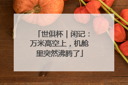 世俱杯｜闲记：万米高空上，机舱里突然沸腾了