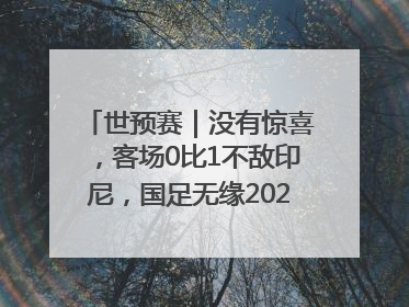 世预赛｜没有惊喜，客场0比1不敌印尼，国足无缘2026年世界杯
